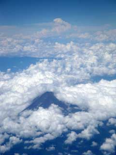 080905積乱雲と富士山.jpg