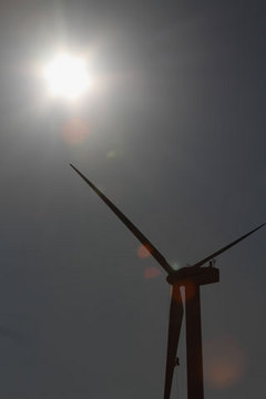 110210風力発電.jpg