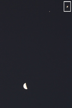 141115半月と木星.jpg