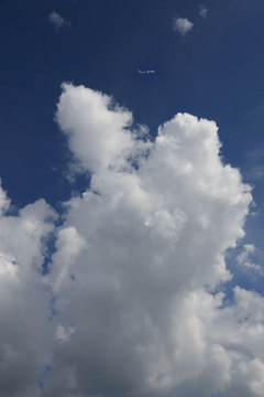 150811積乱雲にANA.jpg