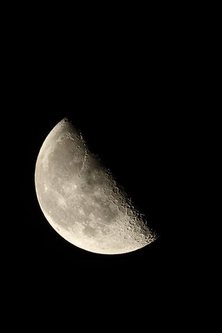 161222冬至の下弦の月.jpg
