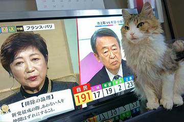 171022選挙速報.jpg