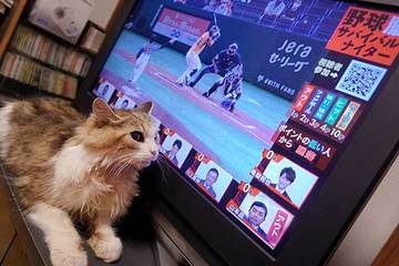 200917最悪野球中継.jpg