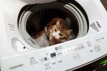 201015洗濯機c.jpg