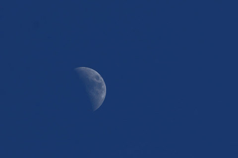210119真昼の月.jpg
